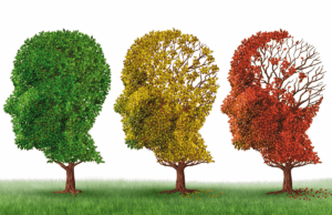 Jejuar previne contra o mal de Alzheimer e Parkinson